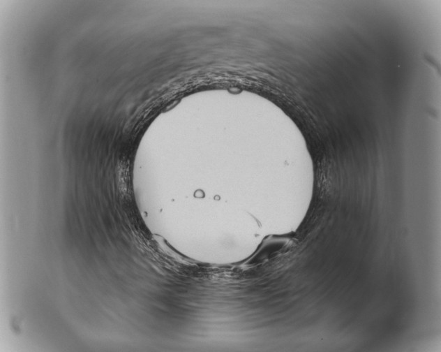 X0000101151490200807251036