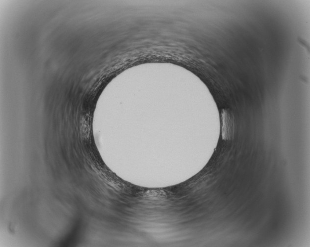 X0000101151491200807251036