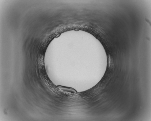 X0000101151492200807251036