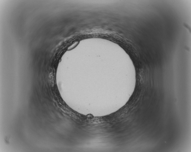 X0000101151493200807251036