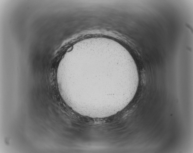 X0000101151494200807251036