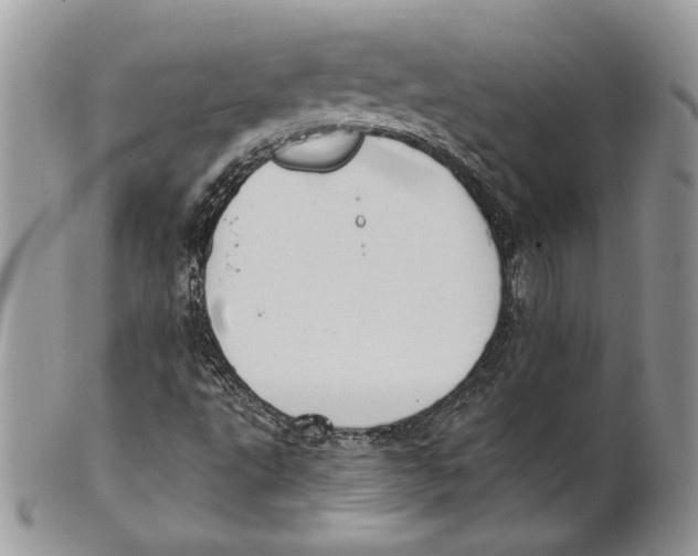 X0000101151495200807251036