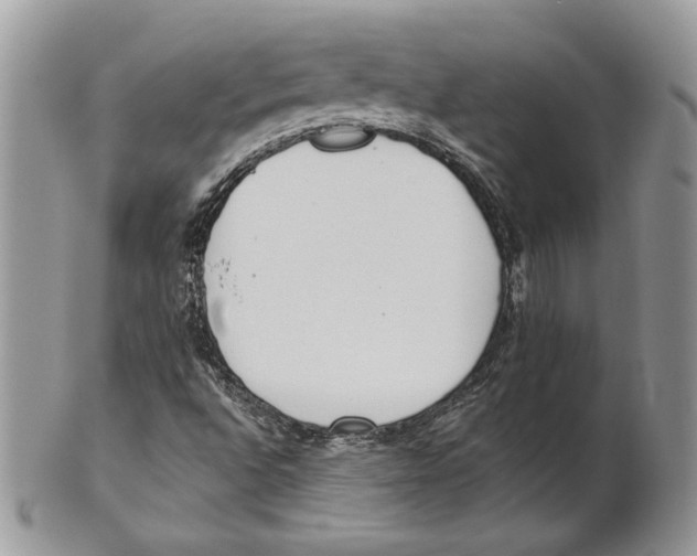 X0000101151496200807251036