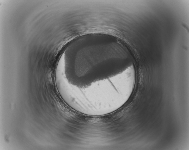 X0000101151497200807251036