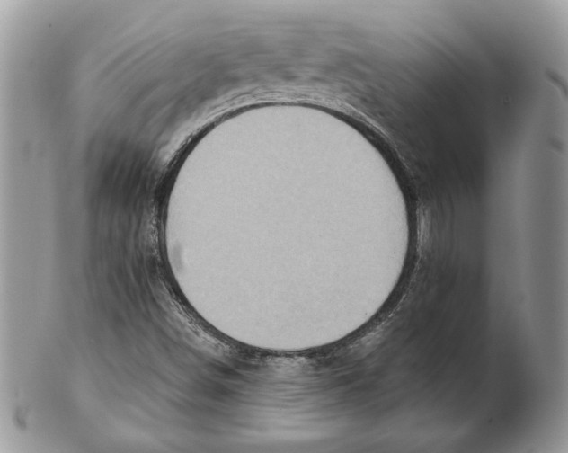 X0000101151498200807251036