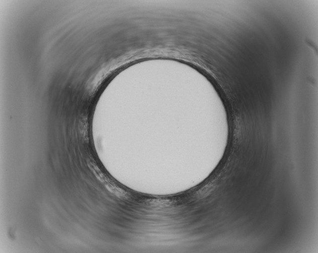 X0000101151499200807251036