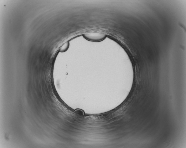 X0000101151500200807251036