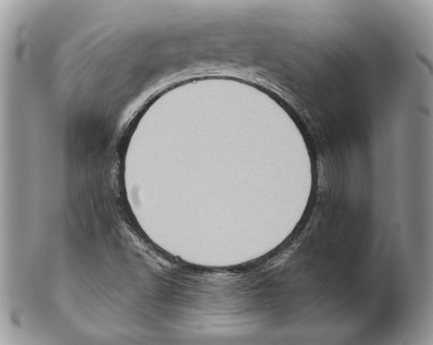 X0000101151502200807251036