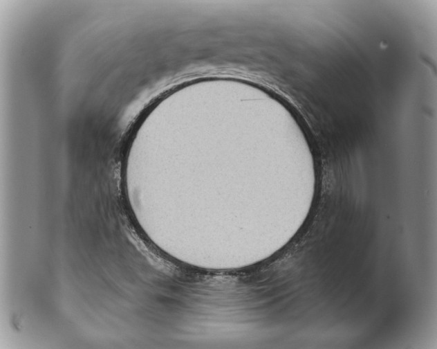 X0000101151503200807251036