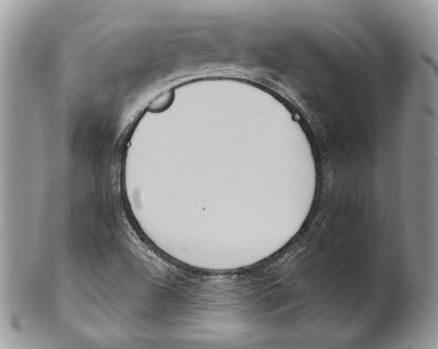 X0000101151504200807251036