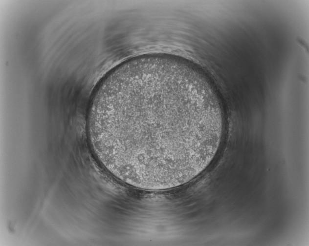 X0000101151505200807251036