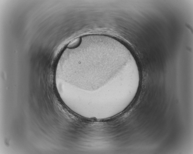 X0000101151506200807251036