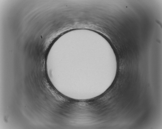 X0000101151507200807251036