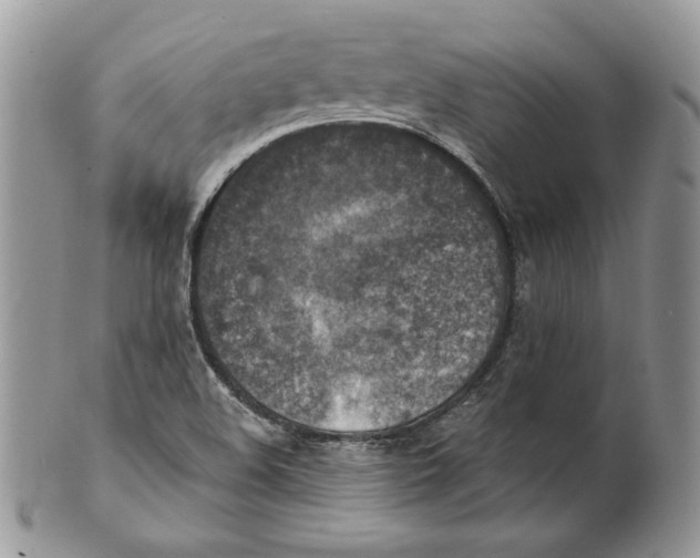 X0000101151508200807251036