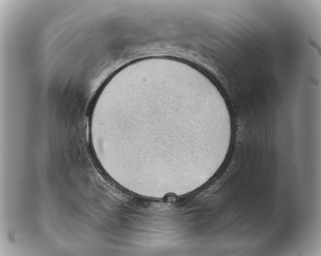 X0000101151509200807251036