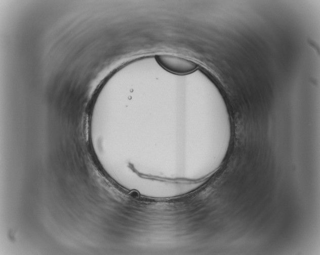 X0000101151510200807251037