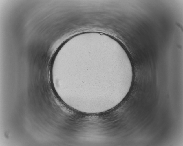 X0000101151511200807251037