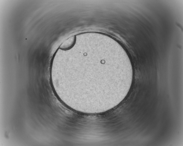 X0000101151512200807251037