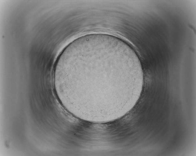 X0000101151514200807251037