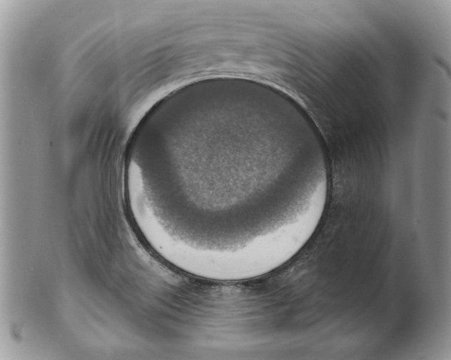 X0000101151515200807251037