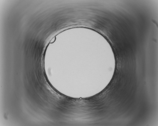 X0000101151516200807251037