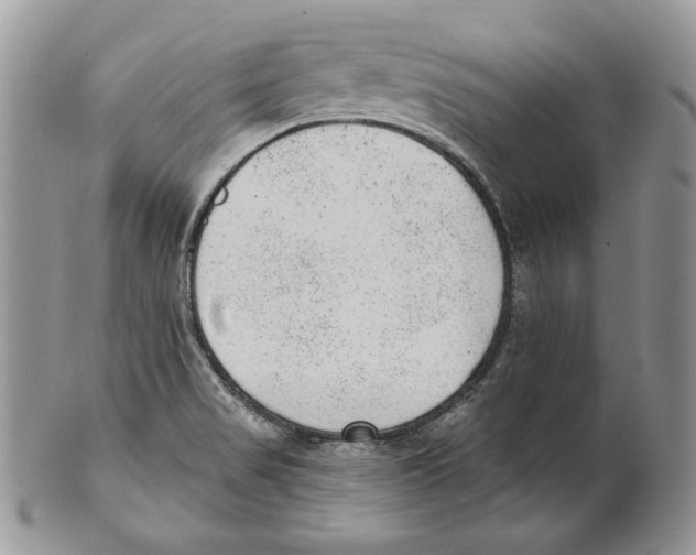 X0000101151517200807251037