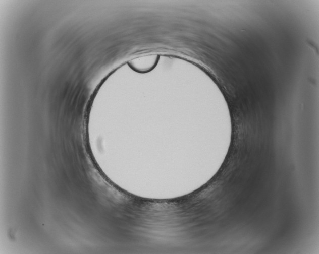 X0000101151518200807251037