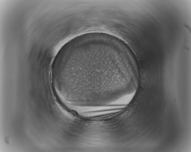 X0000101151519200807251037