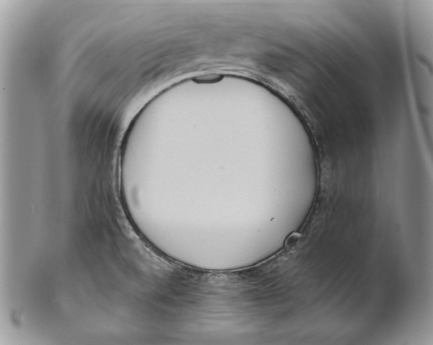 X0000101151520200807251037