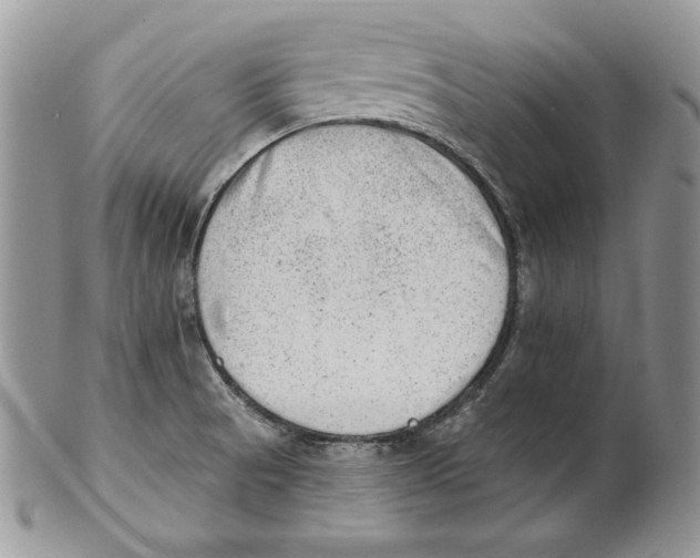 X0000101151521200807251037