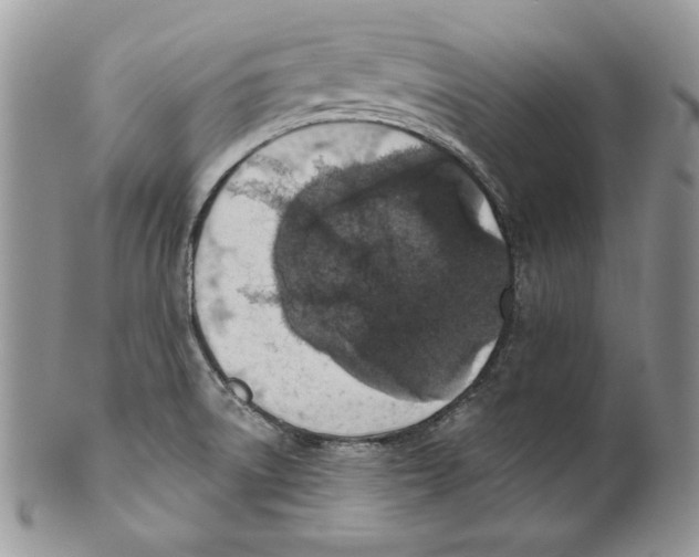 X0000101151522200807251037