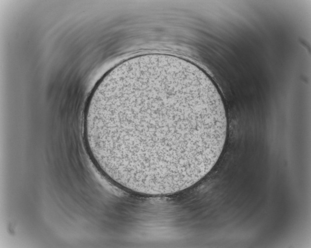 X0000101151523200807251037