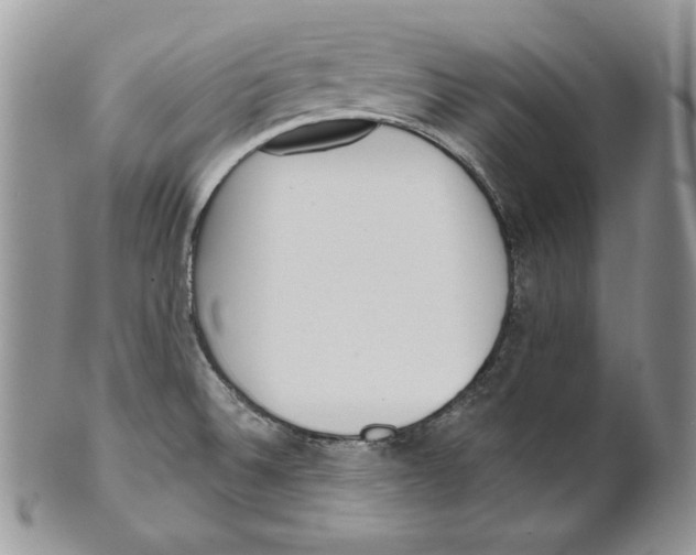 X0000101151524200807251037