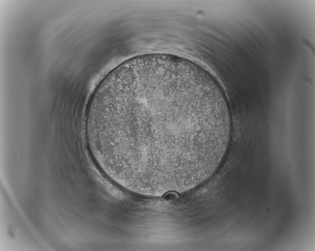 X0000101151525200807251037