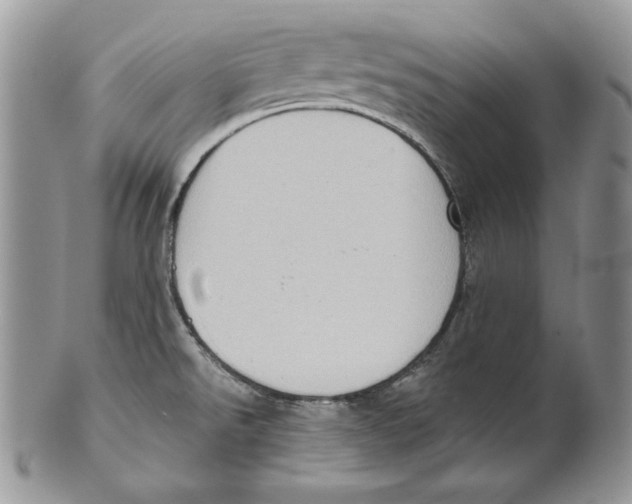 X0000101151526200807251037