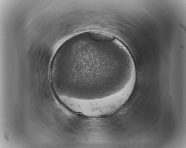 X0000101151527200807251037