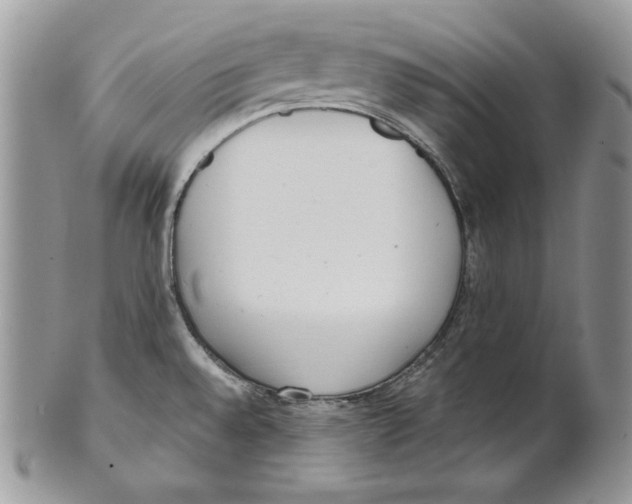 X0000101151528200807251037