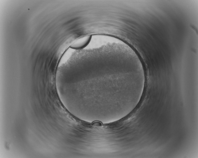 X0000101151529200807251037