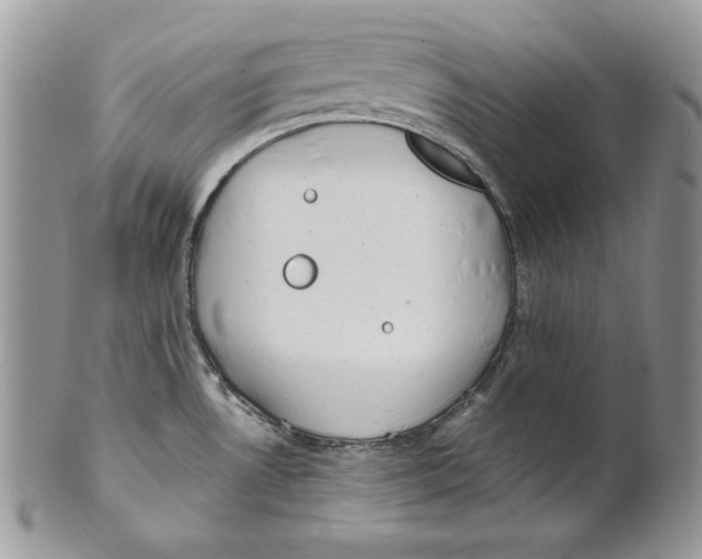 X0000101151530200807251037