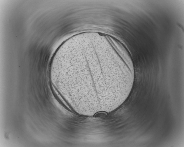 X0000101151531200807251037