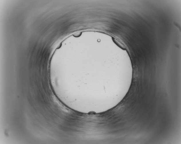 X0000101151532200807251037