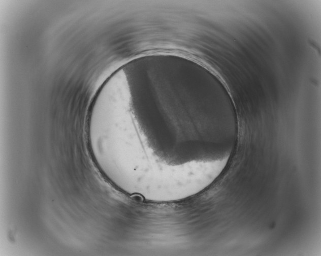 X0000101151533200807251037