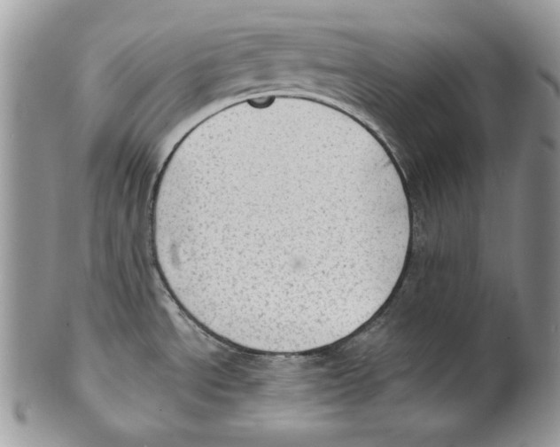 X0000101151534200807251037