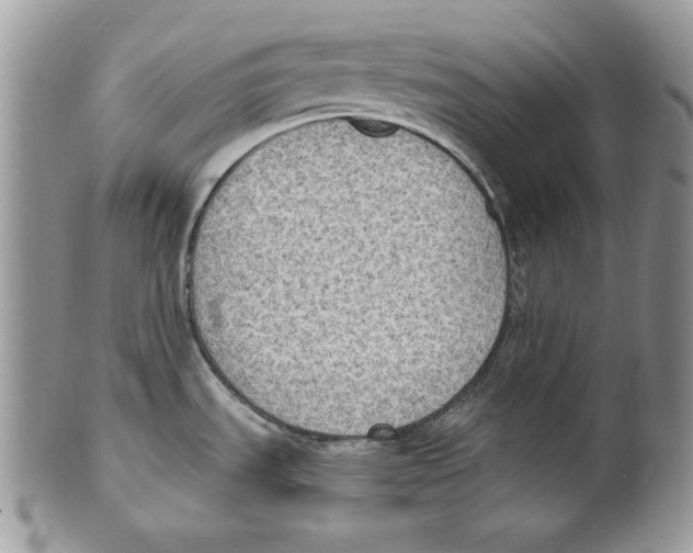 X0000101151535200807251037