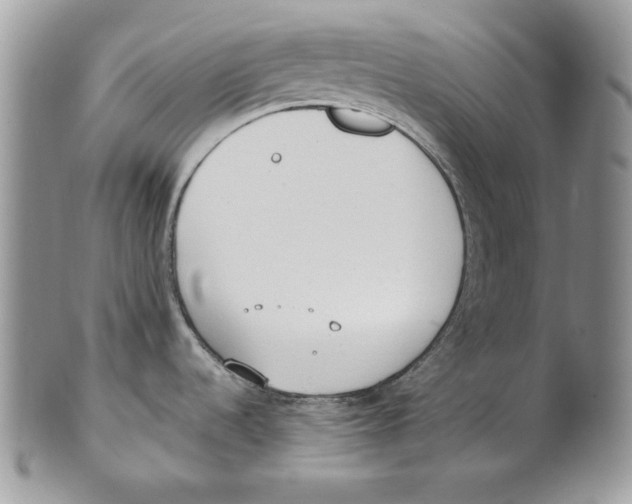 X0000101151536200807251037