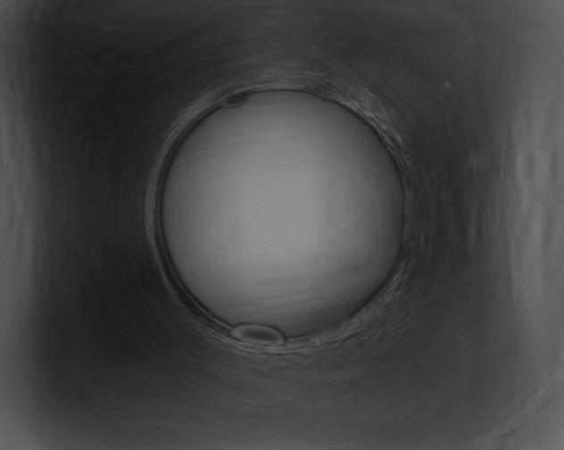 X0000101160003200806270742