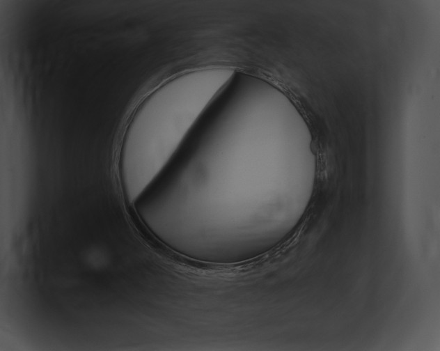X0000101160004200806270742