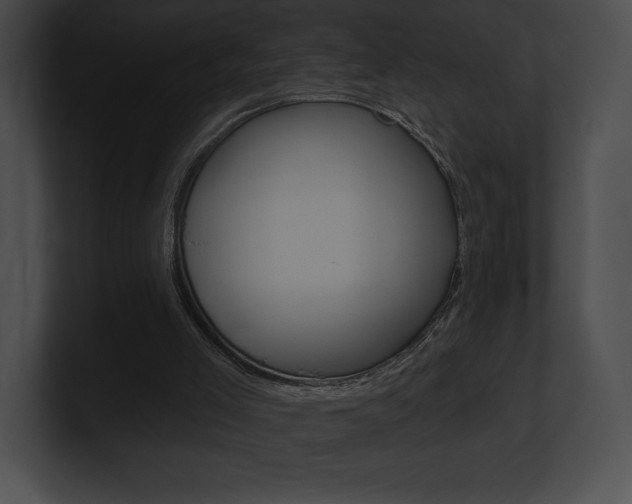 X0000101160005200806270742