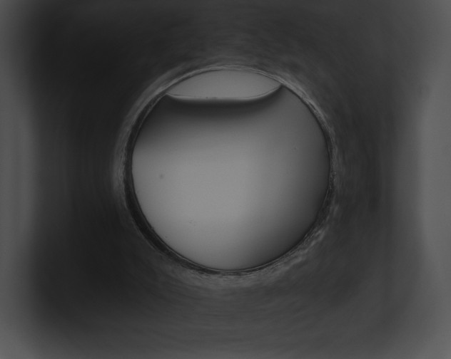 X0000101160007200806270742