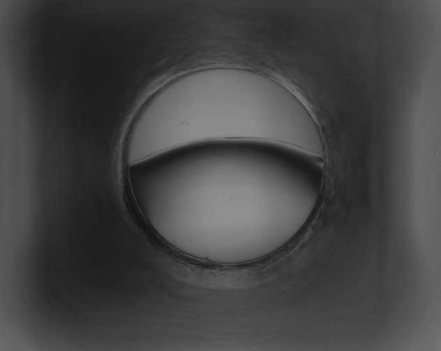 X0000101160008200806270742
